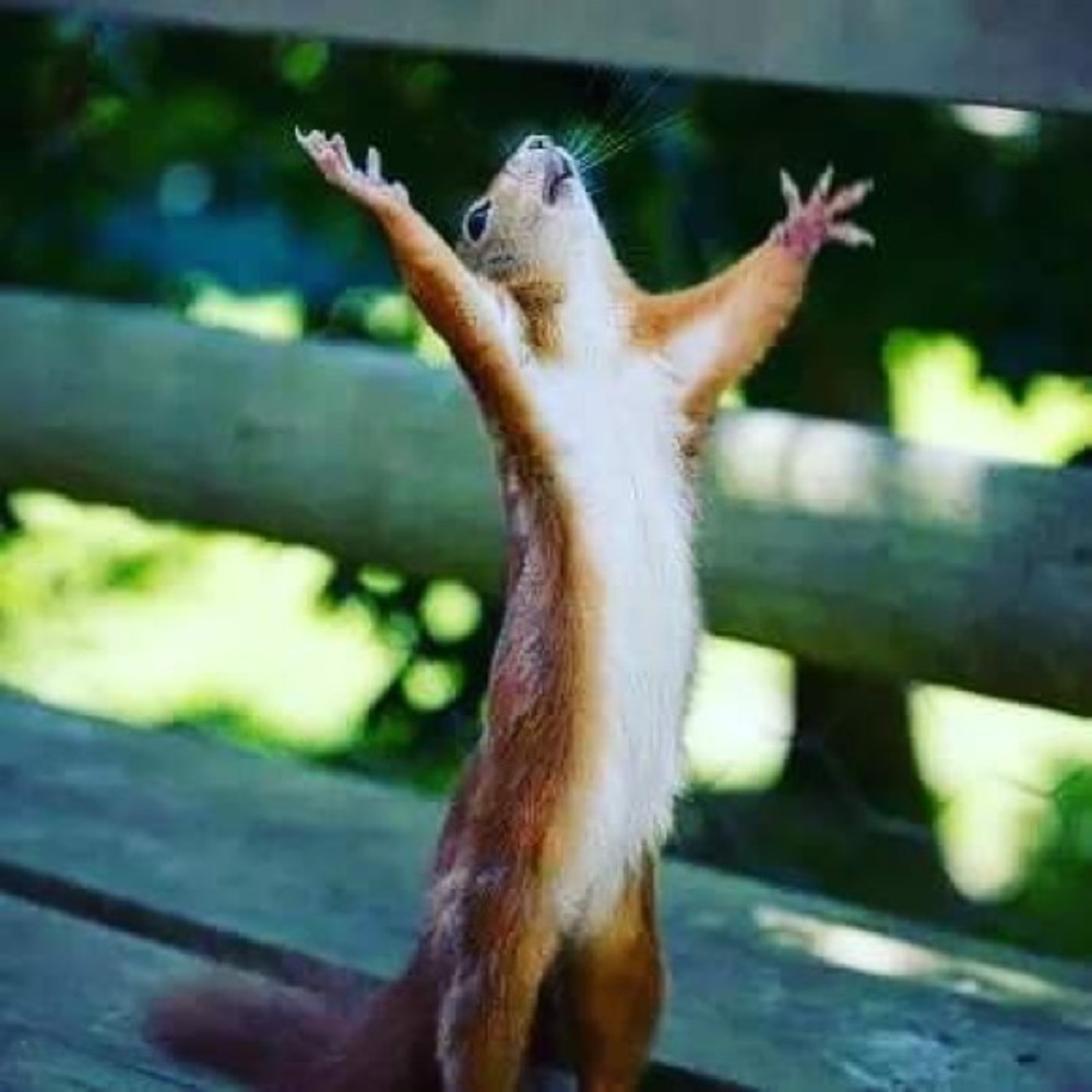 Meet your Posher, Regina